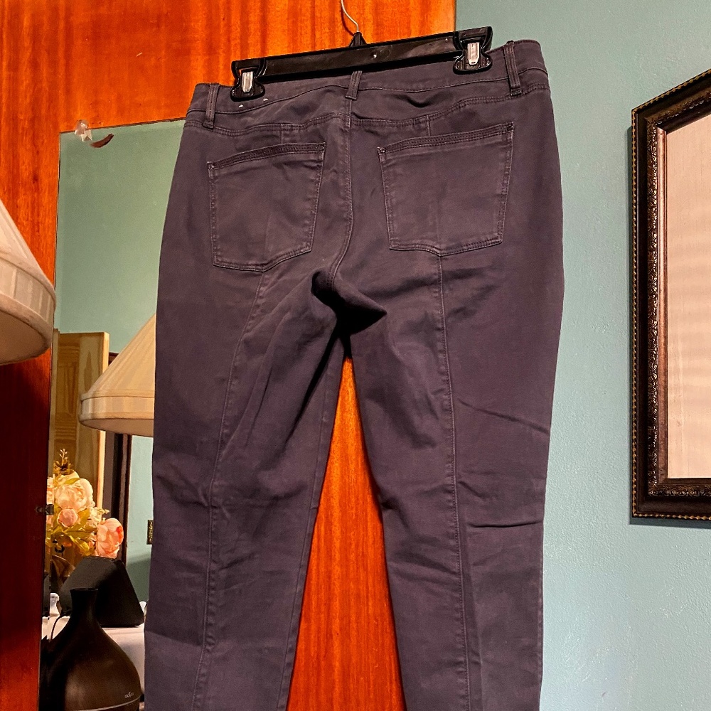 White House Black Market Skinny Ankle